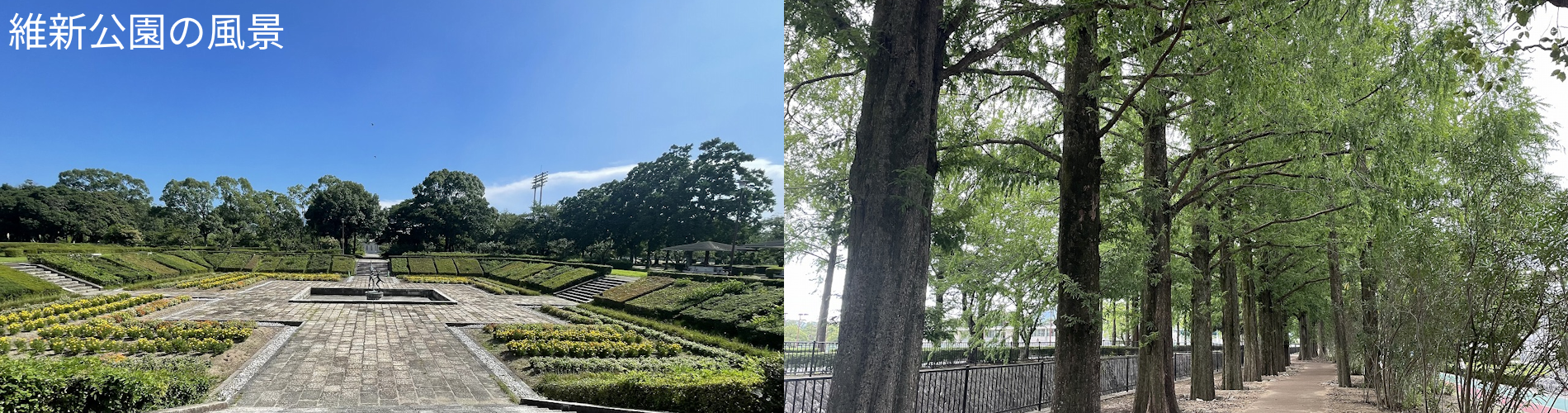 維新公園の風景