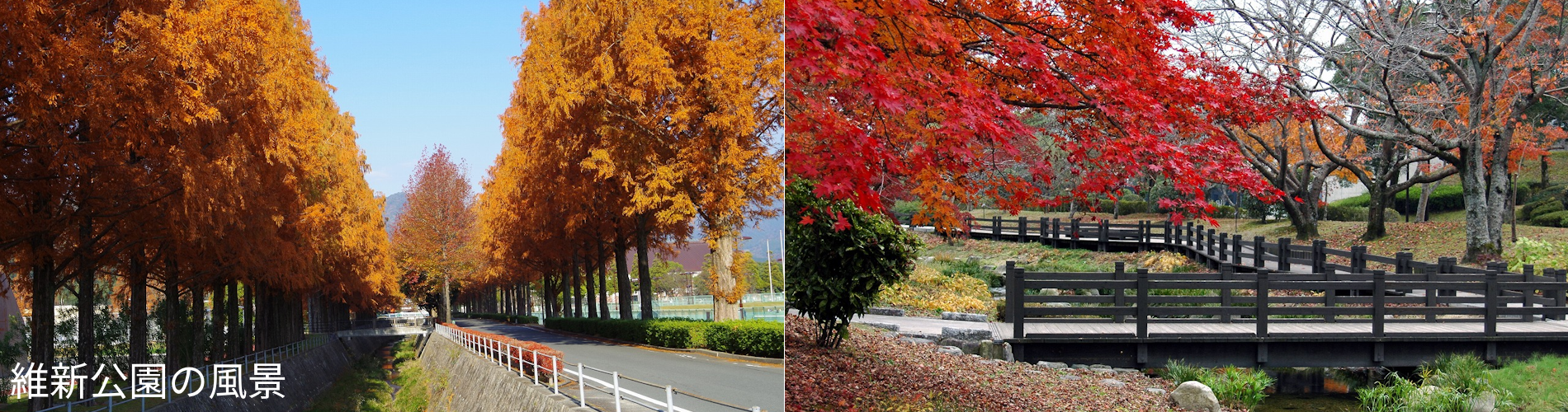 維新公園の風景