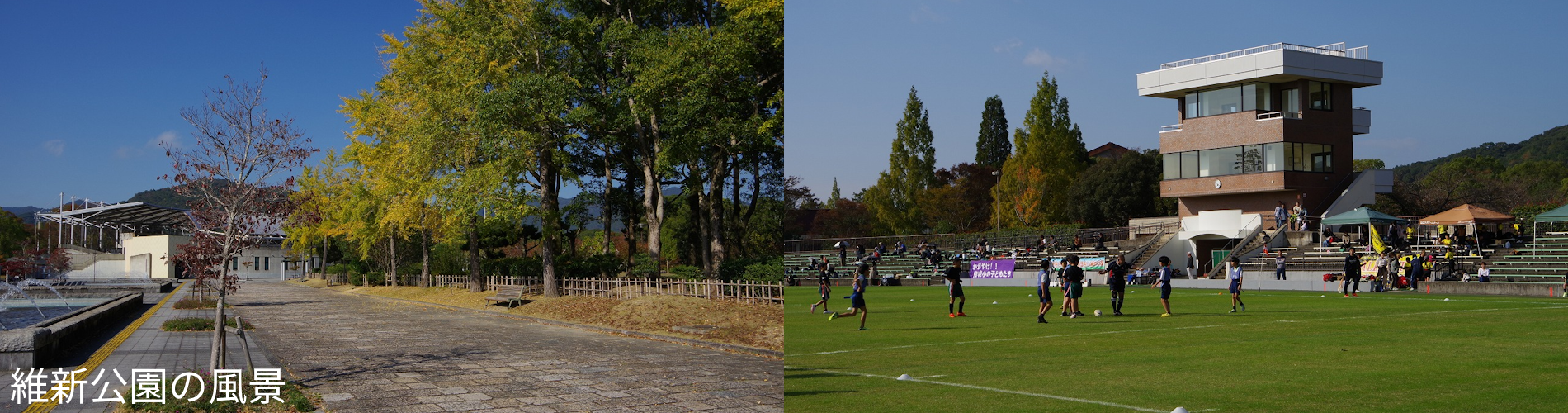 維新公園の風景