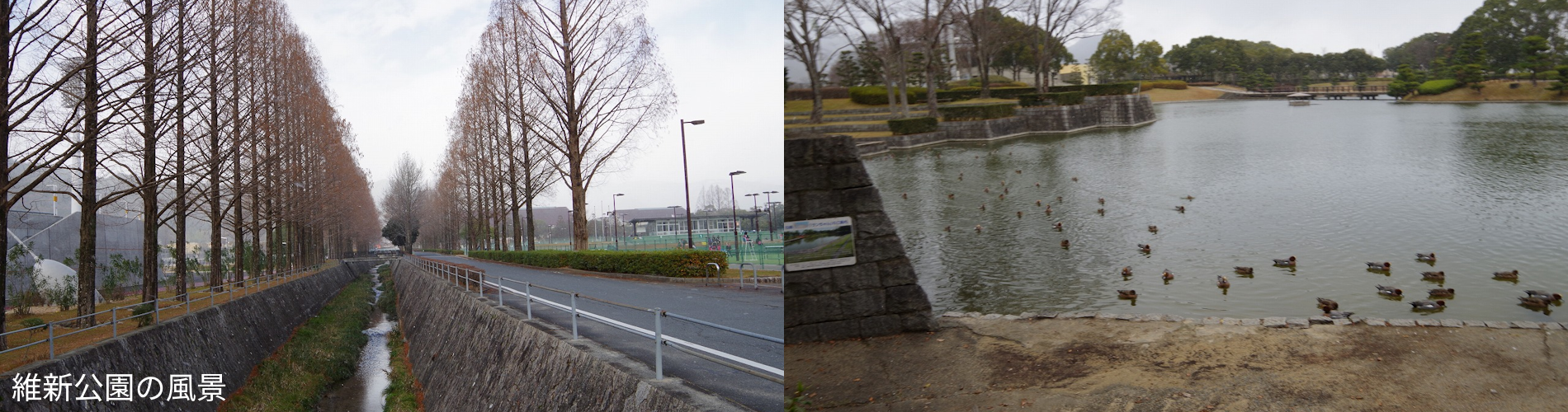 維新公園の風景