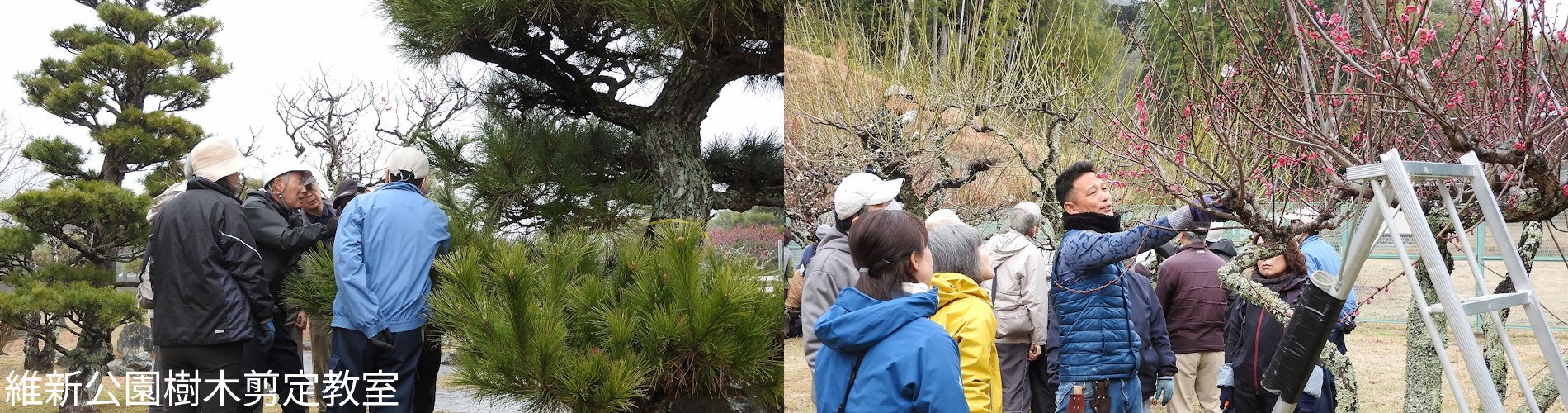 維新公園樹木剪定教室