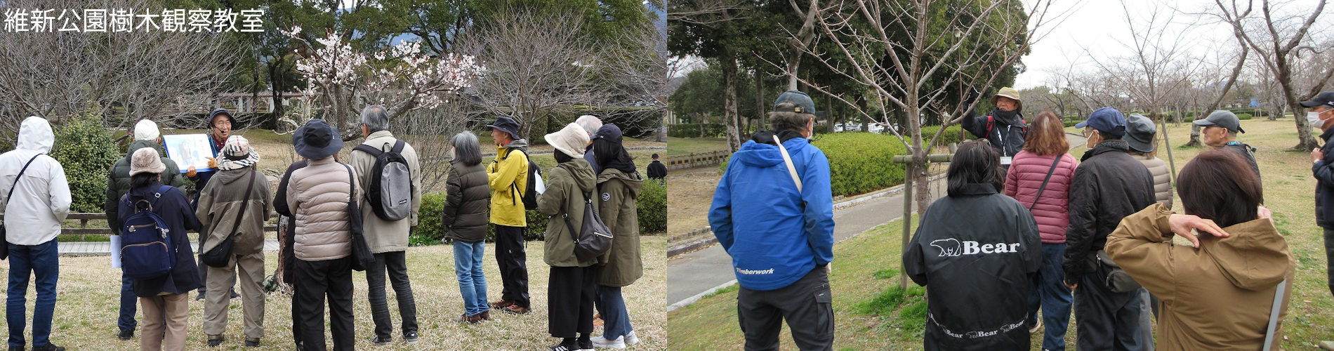 維新公園樹木観察教室