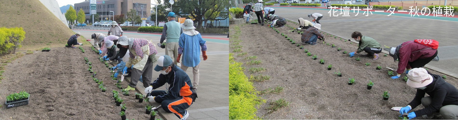花壇サポーター秋の植栽