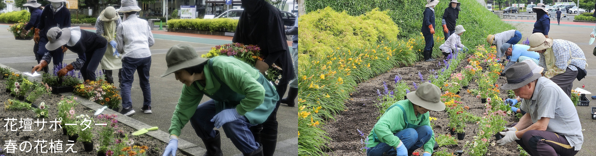 花壇サポーター春の花植え