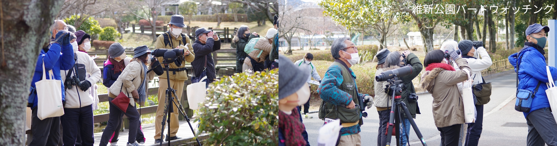 維新公園バードウォッチング