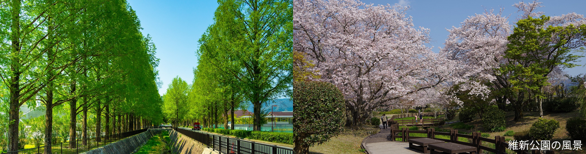 維新公園の風景