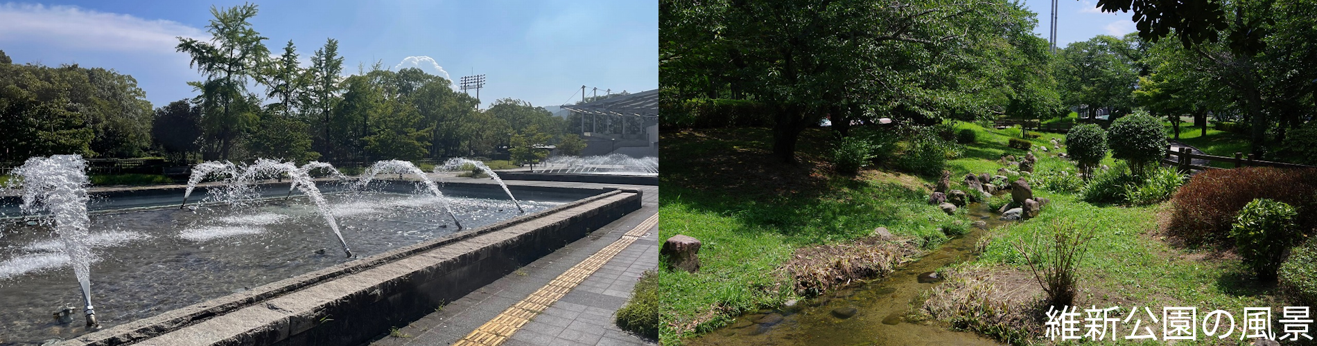 維新公園の風景